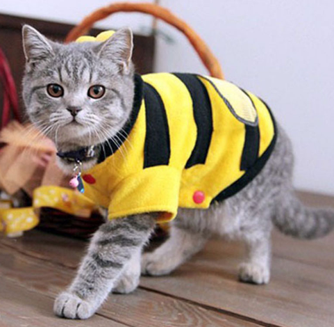 1Pcs Pet Clothes Cute Bees - Ketstore